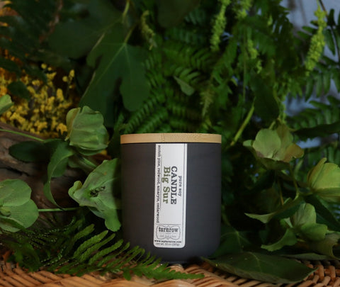 Big Sur Candle
