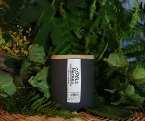 Havana Candle