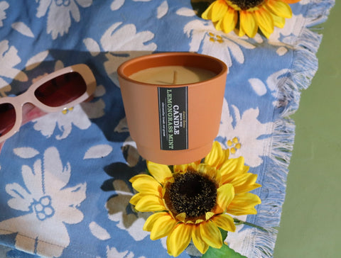 LEMONGRASS MINT soy candle
