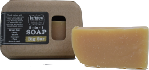 Wholesale BIG SUR- 5-in-1 soap- 4 pack